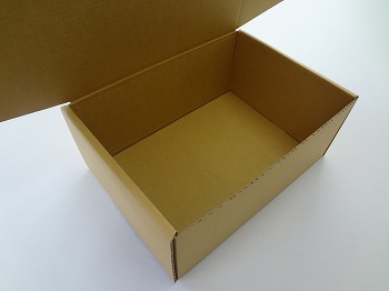 ﾋﾞｼﾞﾈｽｼｭｰｽﾞ用-N式ｻｲﾄﾞ差込式形状-2.jpg
