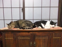s-DSCF2584.jpg