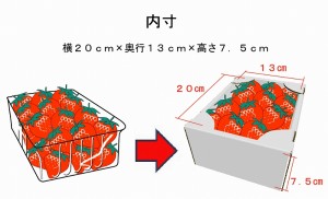 いちご出荷箱ダンボール