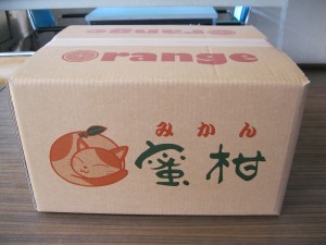 みかん１０ｋｇを入れるダンボールです