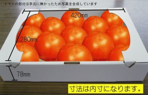 トマト箱の４ｋｇ用ダンボールをご紹介します